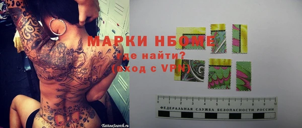 прущий лед Богданович