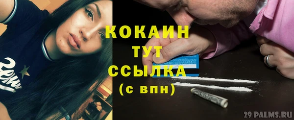 прущий лед Богданович