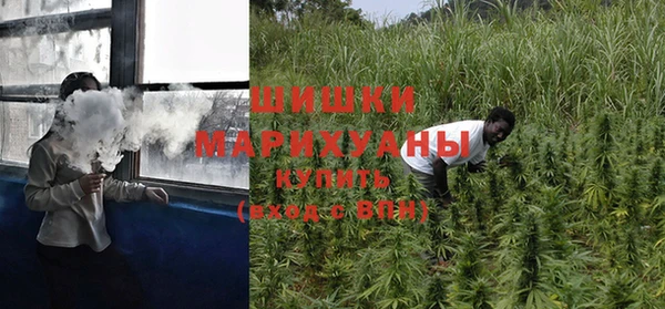 прущий лед Богданович