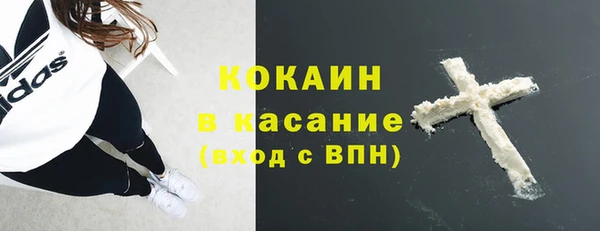 прущий лед Богданович