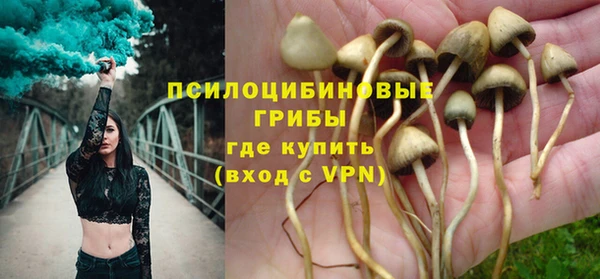 соль курить ск Богородск