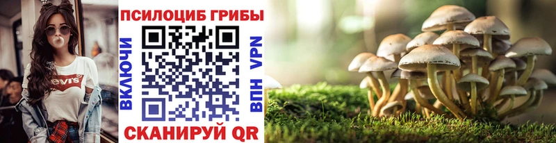 купить закладку  Кувандык  Галлюциногенные грибы MAGIC MUSHROOMS 